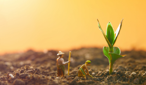 1652775574720650.png 环境.png