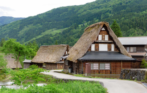 农村2.png